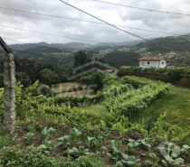 Terrenos Castelo de Paiva - Fotos para Castelo-de-paiva-Quinta em Bairros Castelo de Paiva (SD 02031)